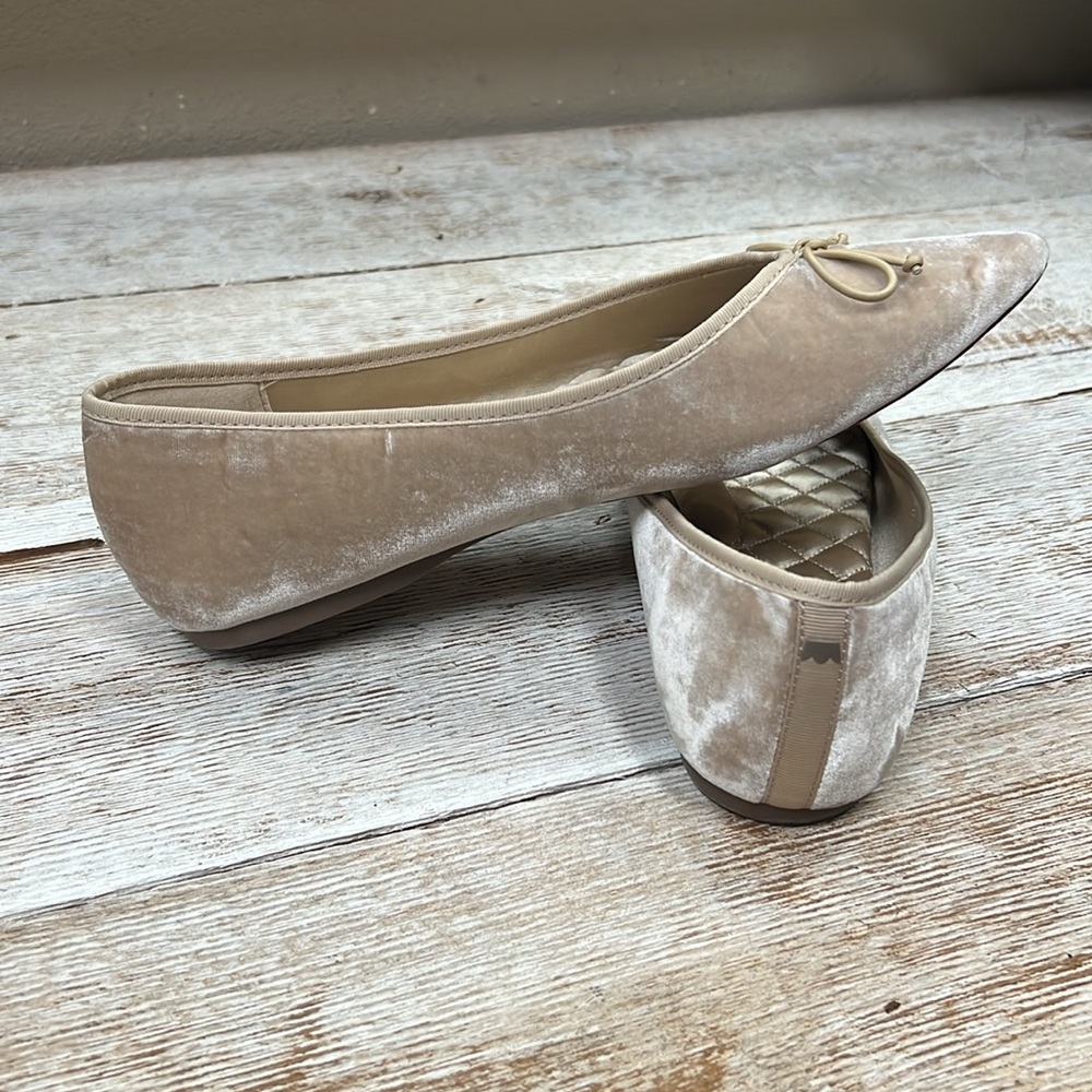Birdies Goldfinch Pointed Toe Ballet Flat Shoe - Picture 5 of 8
